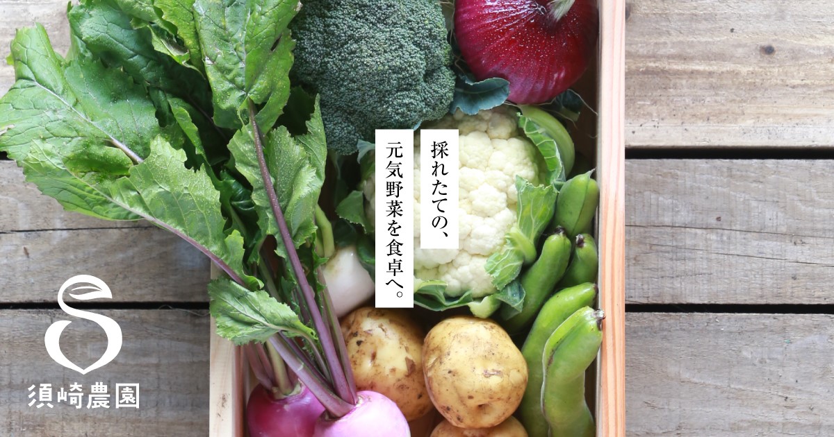 須崎農園｜採れたての、元気野菜を食卓へ。